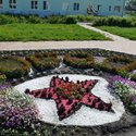 ГБУ РХ «Республиканский дом-интернат для умственно отсталых детей «Теремок» стал одним из победителей конкурса «Цветочная мозайка»