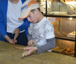 Воспитанники дома-интерната «Теремок» побывали в экзотариуме