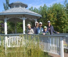 Незабываемая прогулка в Ландшафтный парк «Сады мечты»