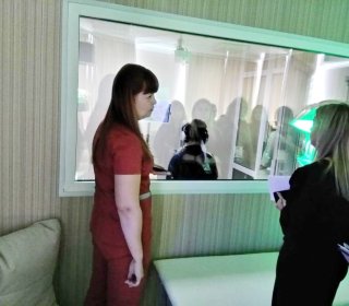 Специалисты ГБУ РХ «Республиканский дом-интернат для детей «Теремок» прошли стажировку в Центре «Коррекция и развитие» г. Астрахань