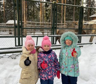 Место, где исполняются детские мечты