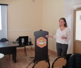 Паллиативная помощь