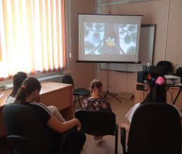 Лето-чудесная пора!