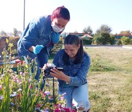 Первые шаги в фотоискусстве