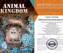 Победа на международном уровне