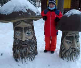 Рождественская мечта 