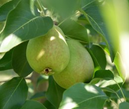 Реализация грантового проекта 