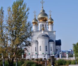 Реализация грантового проекта 