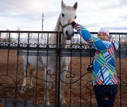 На конном дворе