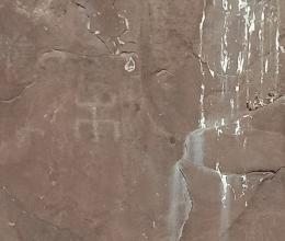 Участвуем в проекте 