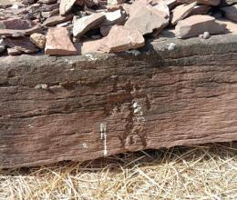 Участвуем в проекте 