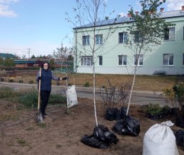 Высажены первые саженцы 