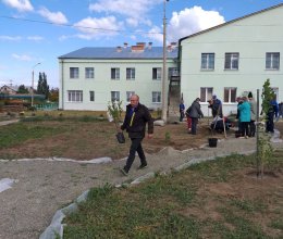 Высажены первые саженцы 