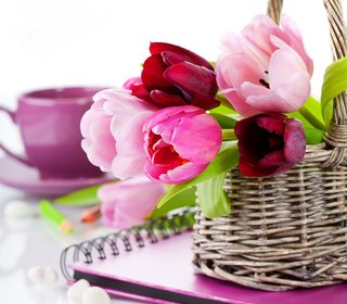 Поздравляем с Международным женским днем - 8 марта!