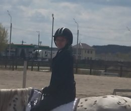 Участие в фестивале по конному спорту 