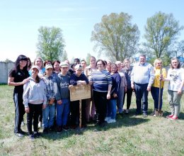 Посадка кедровой аллеи