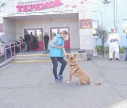 Концертно-игровая программа 