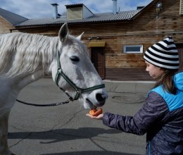 Иппотерпия - одна из лучших форм реабилитации детей-инвалидов