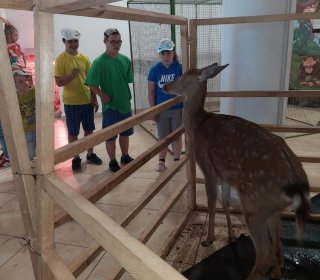 Знакомство с животными на зоовыставке 