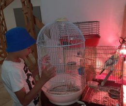 Знакомство с животными на зоовыставке 