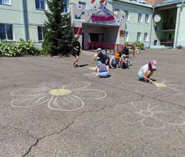 Мои любимые ромашки