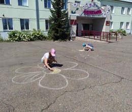 Мои любимые ромашки