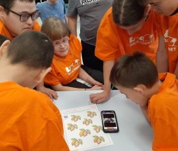 Прошли вкусный квест 