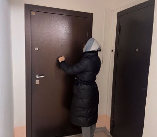 Домашнее визитирование