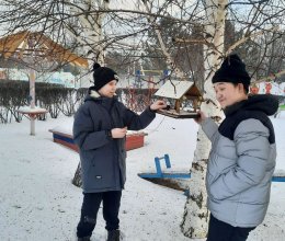 Покормите птиц зимой!