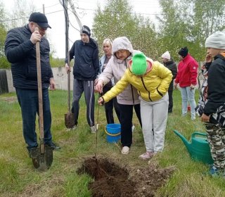 Высаживаем яблоневый сад Победы